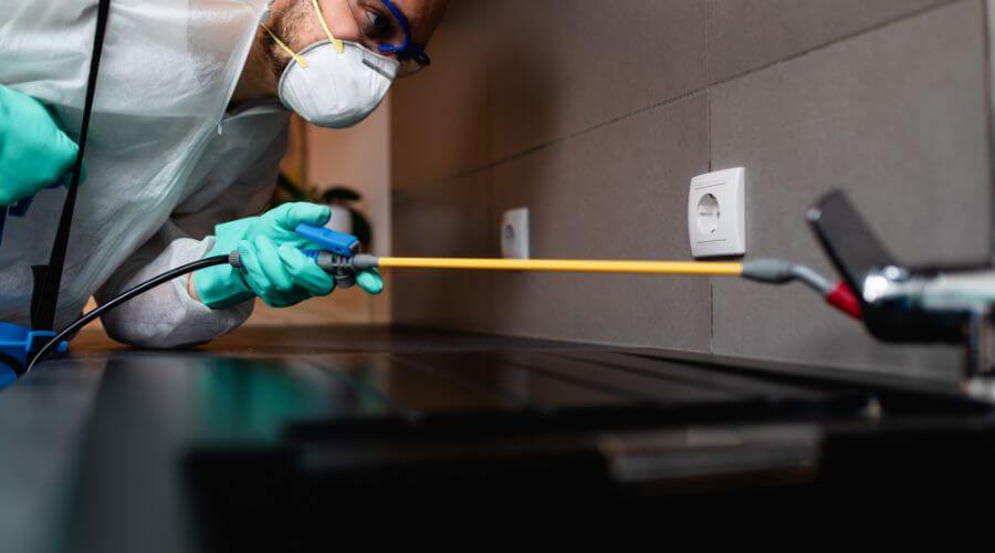 Why choose Ants Rodents Pest Control Gilbert for pest control in Gilbert